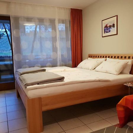 City Appartement 5 Freiburg im Breisgau Exteriör bild