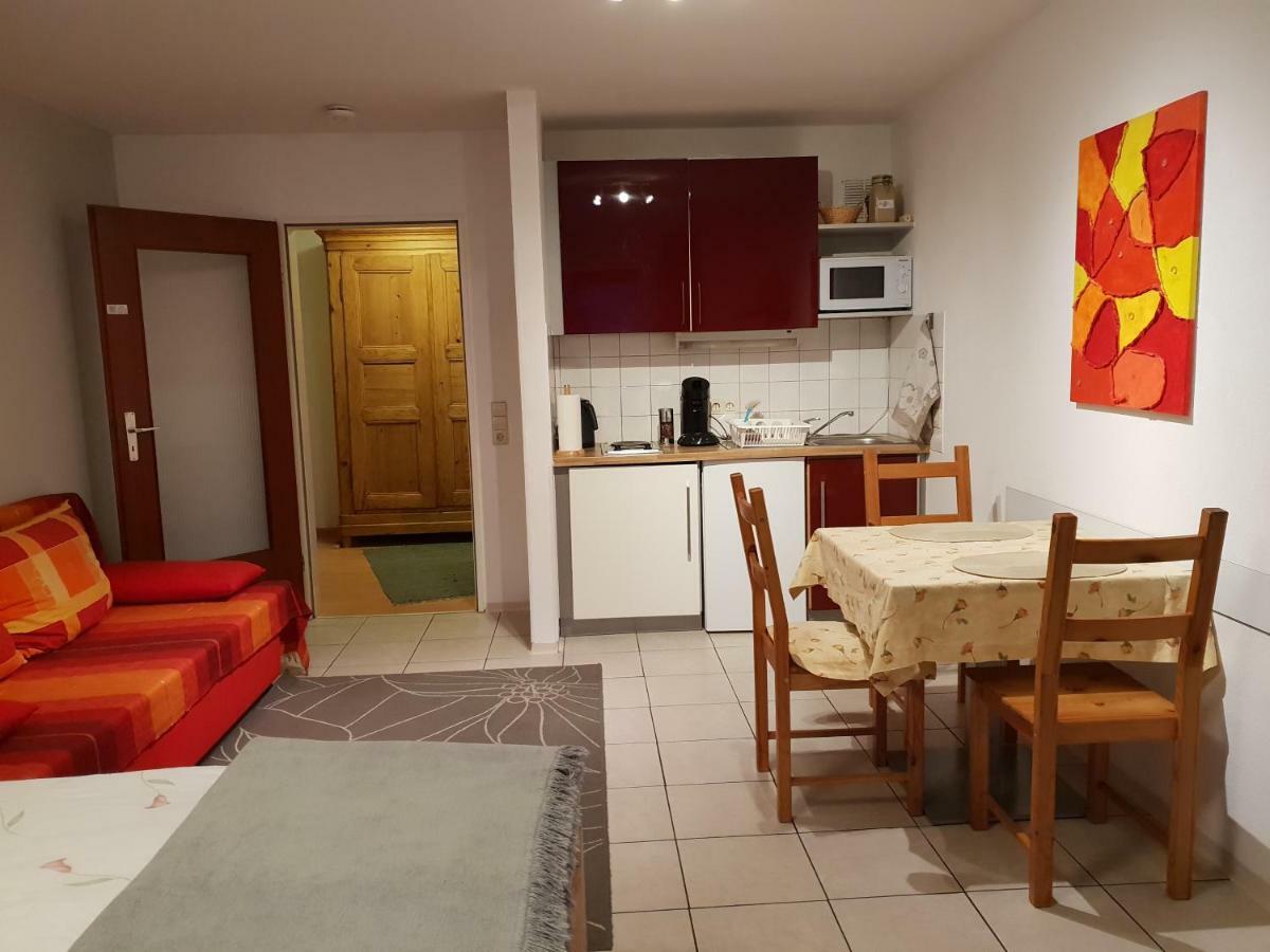 City Appartement 5 Freiburg im Breisgau Exteriör bild